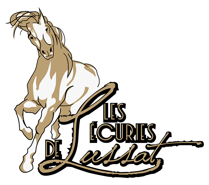Centre équestre Guéret, écurie, Equitation, Pension de chevaux : Les Ecuries de Lussat